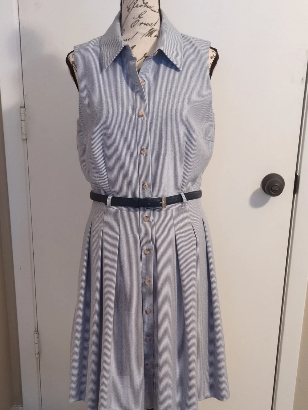 Sleeveless Blue Striped Button-Front Dress with Belt 6 Lined